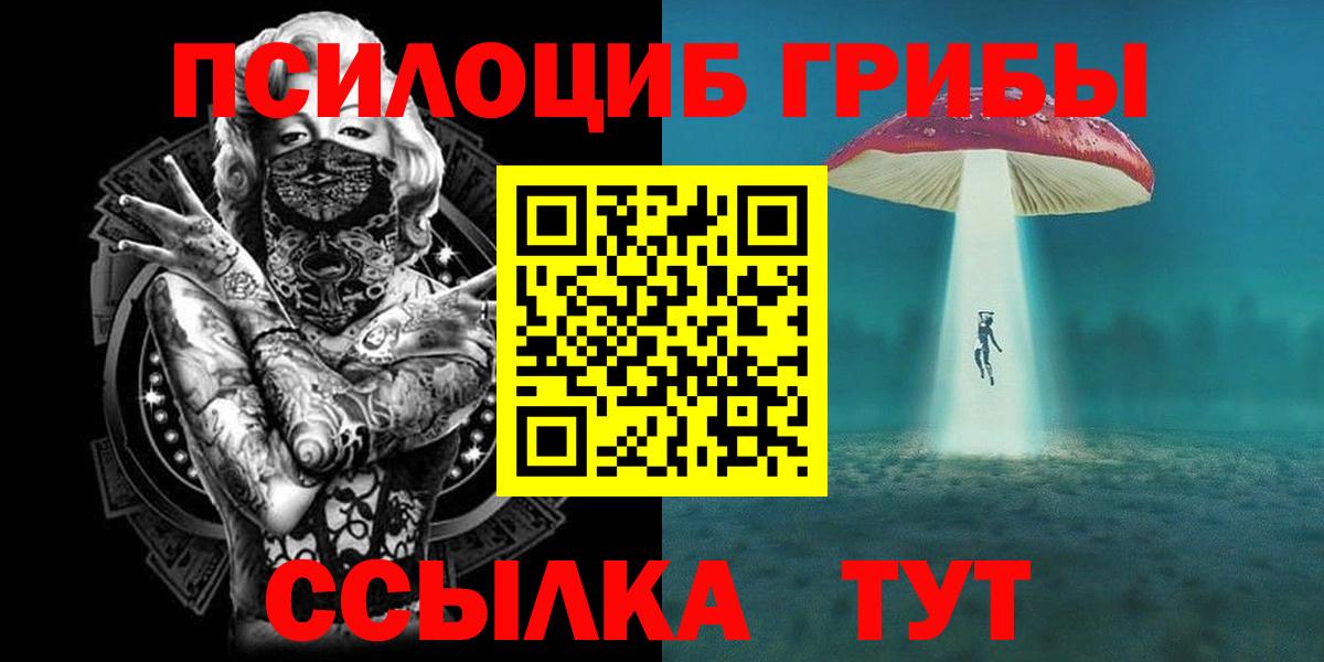 Тамбов  Псилоцибиновые грибы GOLDEN TEACHER  Вход с VPN 